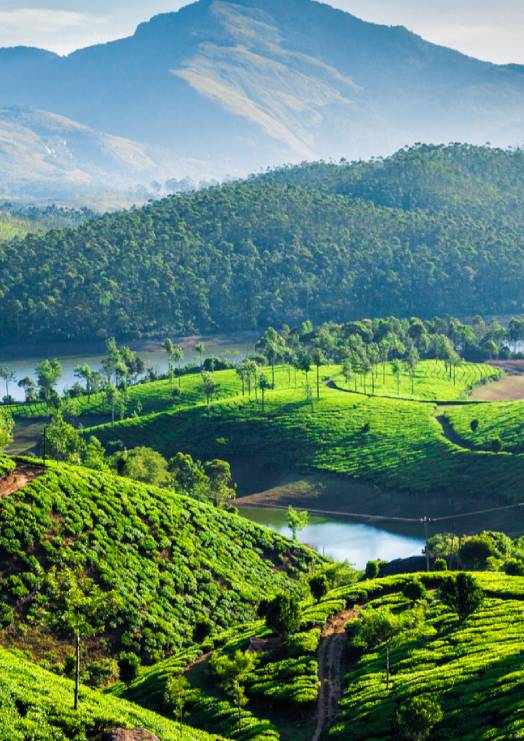 Munnar